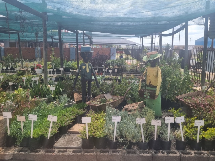  Bedroom Property for Sale in Ladybrand Free State